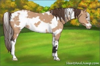 Horse Color:White Spotted Bay Dun Frame Snowflake Varnish
