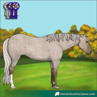 Horse Color:Silver Grullo Roan 