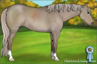 Horse Color:Silver Grullo 