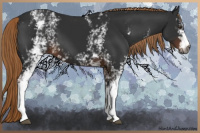 Horse Color:Gray White Spotted Liver Chestnut 