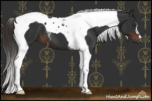 Horse Color:Gray Liver Chestnut Tobiano