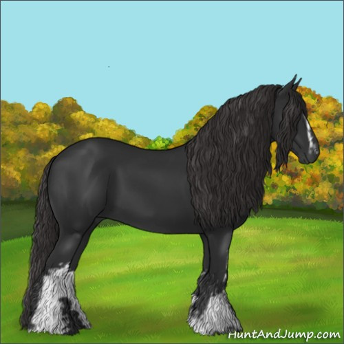Horse Color:Gray White Spotted Liver Chestnut