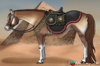 Horse Color:Red Onyx 