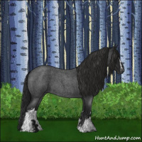 Horse Color:Gray White Spotted Blue Roan 