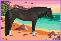 Horse Color:Gray White Spotted Bay 