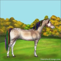 Horse Color:Painted Bay Ice Onyx Sabino
