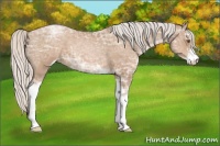 Horse Color:Silver Black Ice Pearl Sabino 