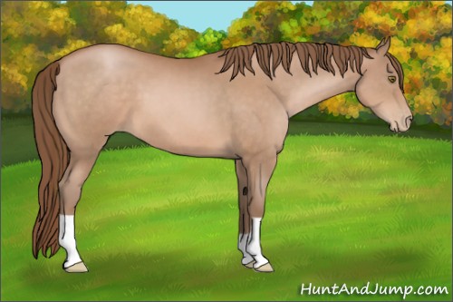 Horse Color:Brown Pearl
