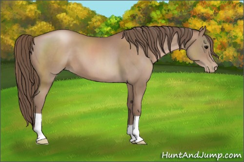 Horse Color:Black Pearl 