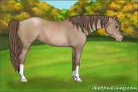 Horse Color:Black Pearl 