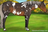 Horse Color:White Spotted Silver Smoky Black 