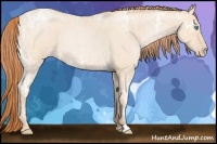Horse Color:Buckskin Ice Roan Pearl Sabino