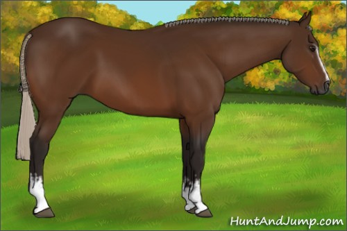 Horse Color:Gray White Spotted Silver Buckskin