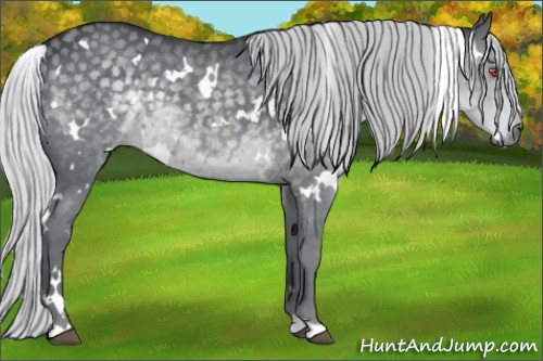 Horse Color:White Spotted Silver Black Chinchilla