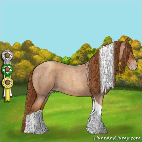 Horse Color:Gray Gold Champagne Roan Tobiano 