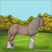 Horse Color:Red Roan Mushroom Tobiano 
