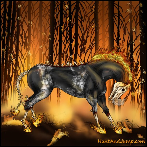 Horse Color:Gray White Spotted Liver Chestnut