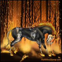 Horse Color:Gray White Spotted Liver Chestnut 