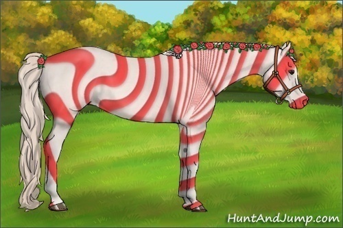 Horse Color:Silver Bay 