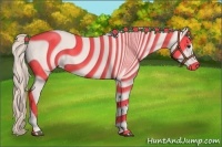 Horse Color:Silver Bay 