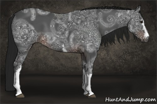 Horse Color:Gray White Spotted Brown Ice 