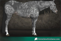Horse Color:Gray White Spotted Brown Ice
