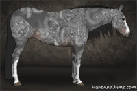 Horse Color:Gray White Spotted Brown Ice 