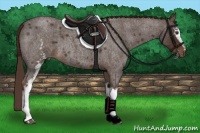 Horse Color:White Spotted Liver Red Roan