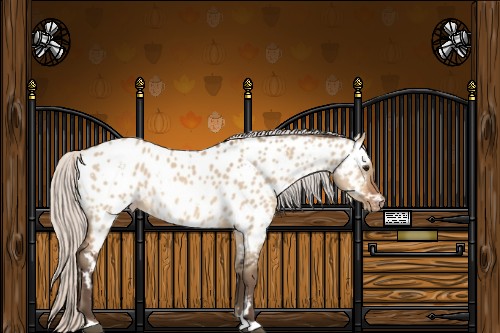 Horse Color:White Spotted Silver Bay Dun Appaloosa 