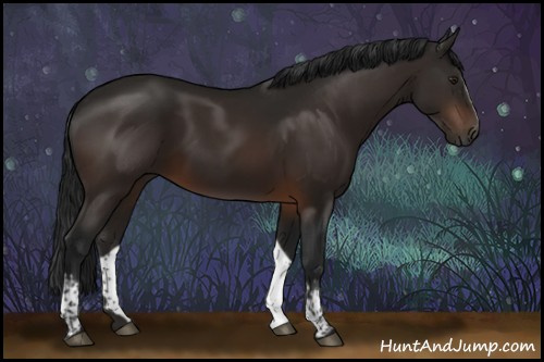 Horse Color:Gray White Spotted Brown