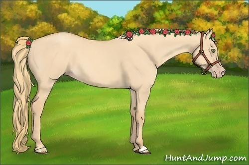 Horse Color:Gold Champagne Dun 