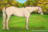 Horse Color:Gold Champagne Dun 