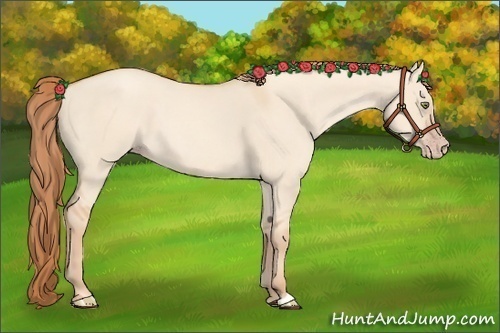 Horse Color:Gold Champagne Dun 
