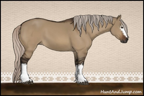 Horse Color:Gray White Spotted Silver Brown Dun