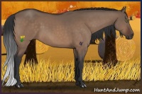 Horse Color:Brown Dun 