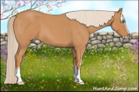 Horse Color:Gray White Spotted Cremello Roan 