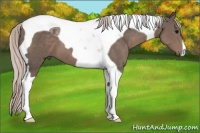 Horse Color:Silver Black Tobiano 