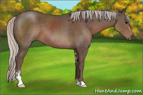 Horse Color:Silver Black Sabino
