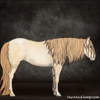 Horse Color:Smoky Blue Roan Pearl 