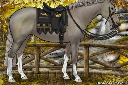 Horse Color:Silver Grullo 