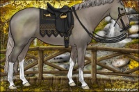 Horse Color:Silver Grullo