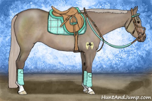 Horse Color:Silver Grullo Roan 