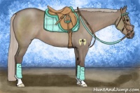 Horse Color:Silver Grullo Roan 