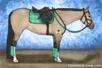 Horse Color:Brown Dun 