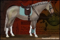 Horse Color:Silver Grullo 