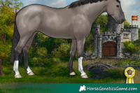 Horse Color:Smoky Grullo 