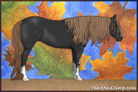 Horse Color:Gray White Spotted Liver Chestnut 