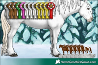 Horse Color:White Spotted Liver Chestnut Near Fewspot 