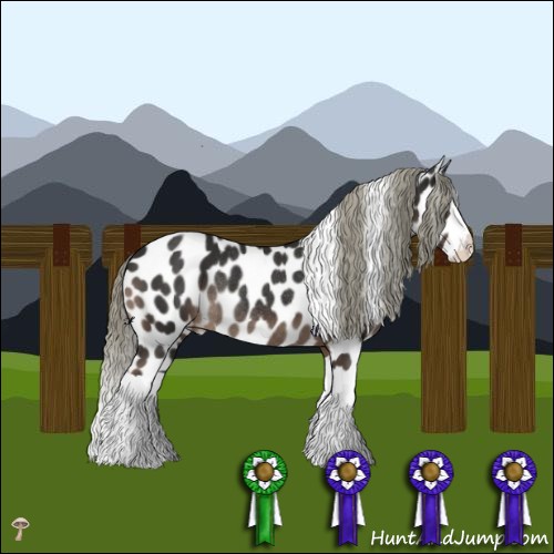 Horse Color:Liver Chestnut Mushroom Splash Leopard Rabicano