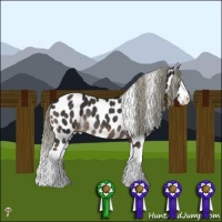 Horse Color:Liver Chestnut Mushroom Splash Leopard Rabicano 